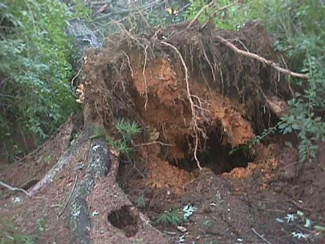 Jefferson County Storm Damage