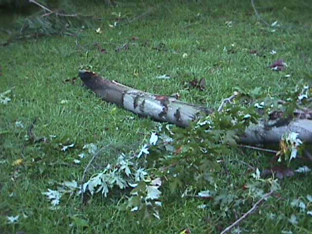 Jefferson County Storm Damage