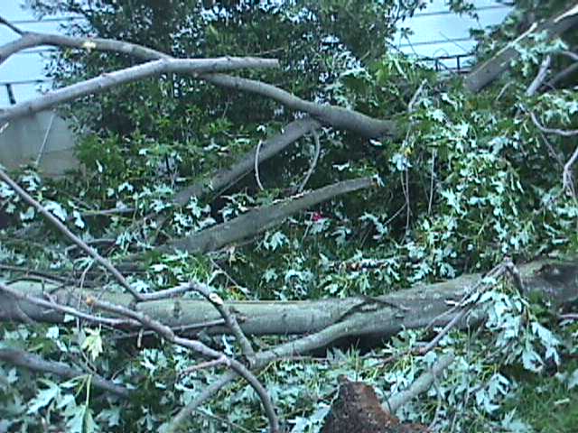 Jefferson County Storm Damage