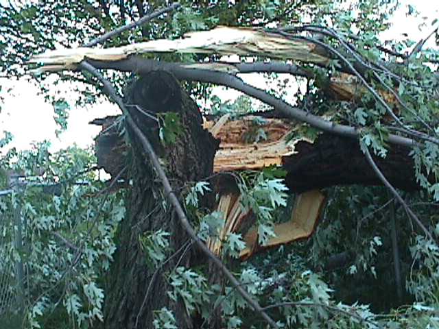 Jefferson County Storm Damage