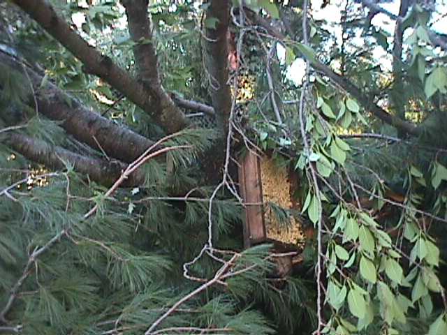 Jefferson County Storm Damage