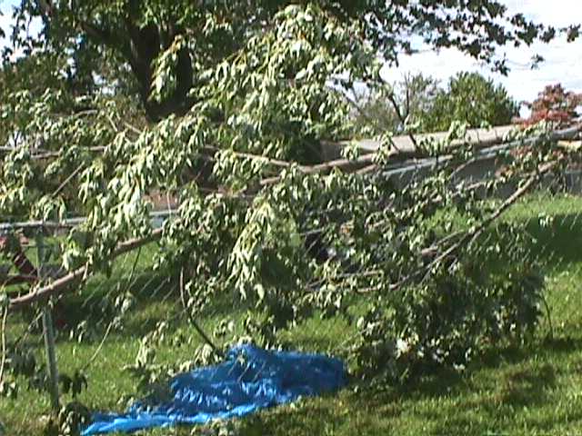 Jefferson County Storm Damage